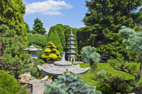Tajemná zahrada s japonským drakem