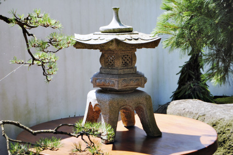 Tajemná zahrada s japonským drakem